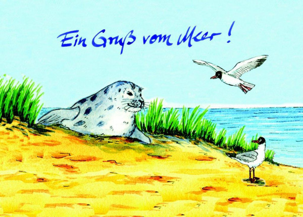 Postkarte Robbe+Möwe, mit Gruß