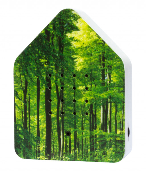 Zwitscherbox Wald