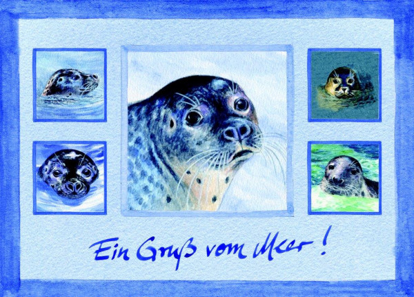 Postkarte Collage Robbenkopf
