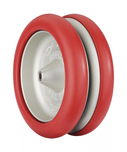 Henrys Yo-Yo Coral Snake rot