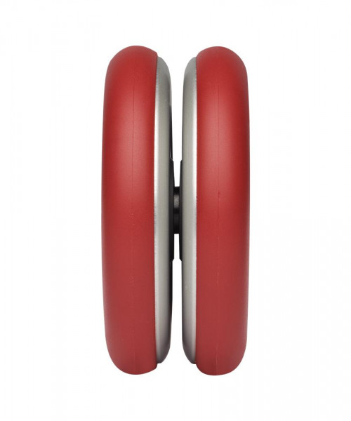 Henrys Yo-Yo Coral Snake rot