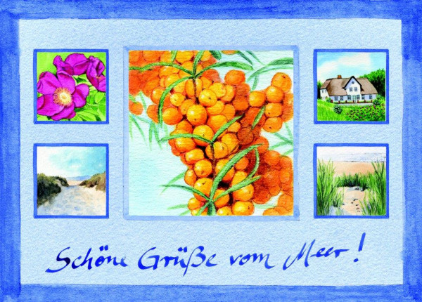 Postkarte Collage Sanddorn