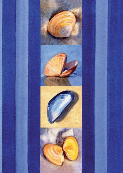 Postkarte A6 Muscheln