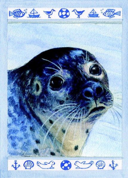 Postkarte Robbenblick