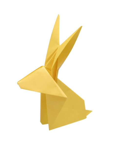 Origami Set - 5 Minuten