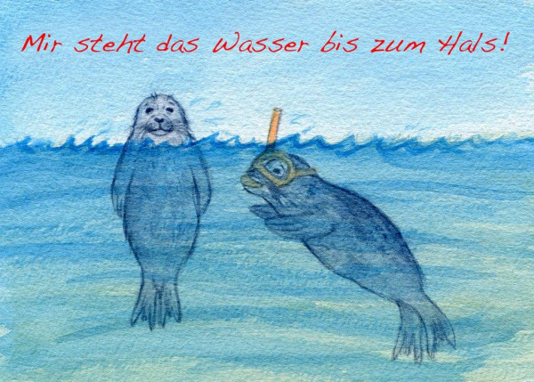 Postkarte A6 Robben, Mir steht das...
