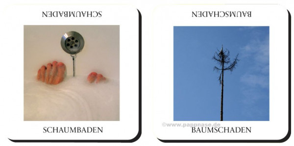 Gemischtes Doppel 1 Metermorphosen