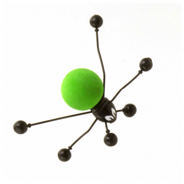 Fensterläufer-Spinne Gruselalarm