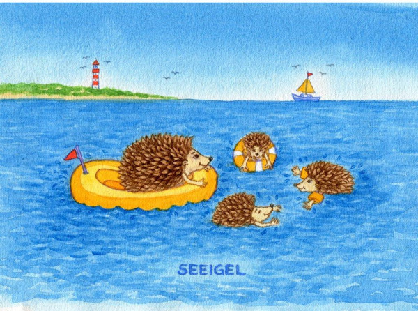 Postkarte Küstentiere, Seeigel