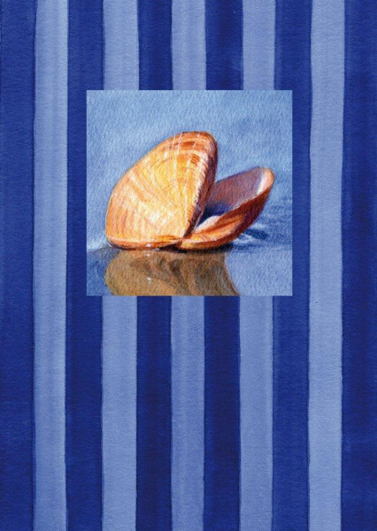 Postkarte A6 Muschel