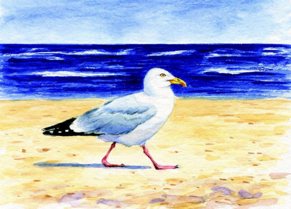 Postkarte Möwe am Strand