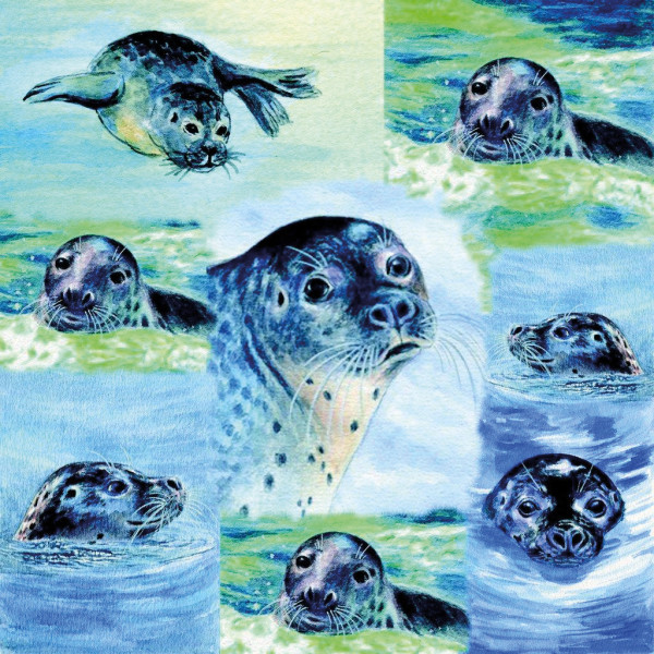 Displaytuch 15x15 cm Seehunde
