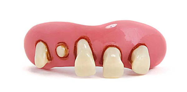 Dr. Dent Hausmeister Zähne